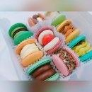 쑥쑥인셀덤