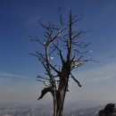 태백산 전경 이미지