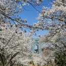 엑스포관광문화거리 | 경주 벚꽃 당일치기 여행 – 대릉원(첨성대), 보문단지, 천군복합문화공간, 경주엑스포, 유스댁 만두전골