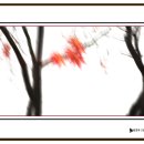 성남사 - 보성군 채동선로 198-1 | 성남사