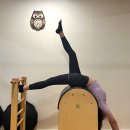 로즈바디핏 | [둔산동필라테스][둔산동요가][로즈바디핏] 핫 여름은 로즈바디핏과 함께 건강하고 활기차게 !