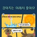 다솜동물병원 이미지