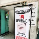 일레르 뷰티