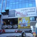 테라스 인 스킨