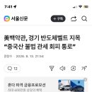 트럼프 반도체 VS 대미 투자법 이미지