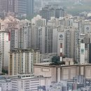 강남-296 이미지