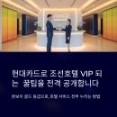 현대25써비스 | 조선호텔 갈 때 현대카드 하나로 본보이 골드! 실사용 꿀팁+후기 전부 공개