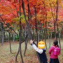 초등 감성미술 이미지