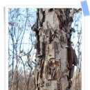 월드사우나 이미지