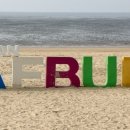 더그루 펜션 이미지