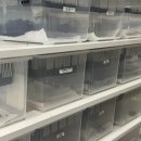 애니멀샵 | 파충류 전문 남양주 60평 대형 소동물샵 &lt;애니멀리움&gt; 방문 후기 / 골든햄스터 렉스 분양가 / 햄찌 자랑(?)