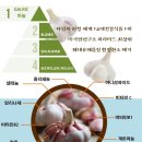 웰빙식품 이미지