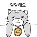 비엠모터스 이미지
