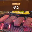 반송동147 | 동탄 한우 맛집 꽃소, 입에서 살살 녹는 살치살과 알차돌 후기