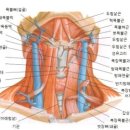스포메드짐 네이버블로그