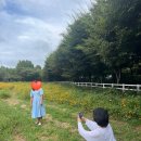 남도노래연습장 이미지