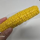 옥자농장 이미지