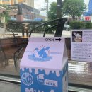 인천24시유앤미동물병원 이미지