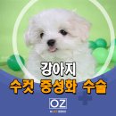 Dr. 오즈 동물병원 이미지