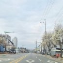 로하스치과의원 이미지