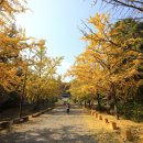 죽계사竹溪祠 이미지