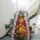 썬 당구클럽 이미지