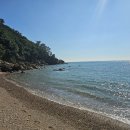 솔향기펜션 이미지