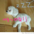 즐거운상상 이미지