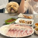 사계절송당 이미지