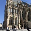 피그랜드 3단지 | 풍향고2 오스트리아 비엔나 가볼만한곳 벨베데레 슈테판대성당 피그뮐러 정보 후기