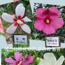 장호농장 이미지