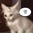 크라운안경 | [덕질일기] 지드래곤 콘서트 고척 앙콘 올콘 후기 (크라운카드 당첨, VIP석, 팸존 특전)