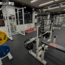 휩스 휘트니스클럽 | 대전광역시 동구 헬스장 휩스휘트니스클럽 내용가격운영시간주차리뷰 알아보기