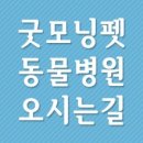 폴라동물병원 이미지