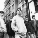 오아시스 이미지