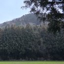 우진농장 | 제주 1박2일 감성 여행 후기