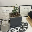 농협대동지점 주차장 | 대전동구대동피부관리 서현스킨앤바디, 약초필로 등드름 흉터 없애기 대만족 후기