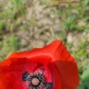 용암3리마을회관 이미지