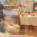 티몬이네 목욕탕 이미지