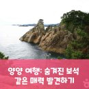 노송농원 | 양양 가볼만한 곳 숨겨진 보석 같은 매력 발견하기