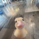 (주)인남