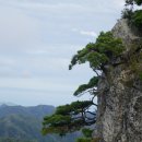 금남 호남정맥 (76.9km) 태풍 탈림의 바람과 함께 된비알의 진수를 맛보다.. 이미지