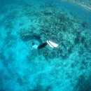 뮤소프트 이미지