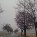 젤루느린달팽이 이미지