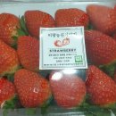 비량농원 이미지