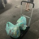 금진마트 이미지