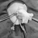 금샘동물병원 이미지