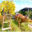 경춘선 자전거도로3 이미지