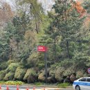 양수삼성요양병원 | 양수 새는 느낌 증상 및 조기양수파열 서울삼성병원 응급실 간 후기