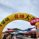 유가초등학교 앞 | 4월 대구 근교 나들이 &#39;달창지길 벚꽃축제&#39; 다녀온 후기